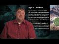 Lake Mead: Clear and Vital