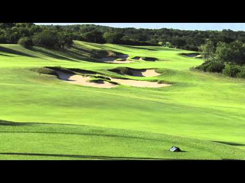 how to fertilize zoysia grass
