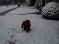 videos de Snowy time fun pt. 1