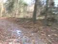 Pole Green Park Cross Country Preview