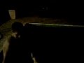 Nocne kupanie