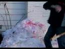 THE MINNESOTA HOCKEY STICK MASSACRE