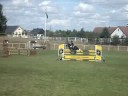 Svenskt Ponny Derby -08, Sheldon