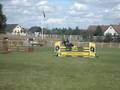 Svenskt Ponny Derby -08, Sheldon