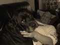 william R.I.P