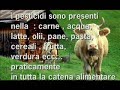 PESTICIDI, AGRICOLTURA MODERNA INQUINA TUTTA LA CATENA ALIMENTARE PESTICIDI, AGRICOLTURA MODERNA INQUINA TUTTA LA CATENA ALIMENTARE