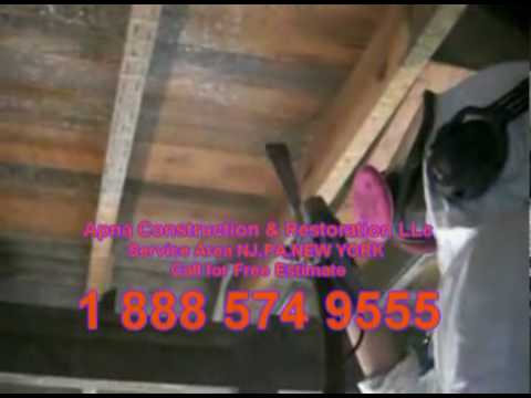 Mold Services