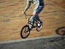 hammond wall ride
