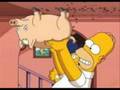 Spiderpig The Smelly Cats