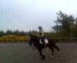 black jack cantering