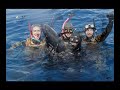 Caccia grossa a Calvi