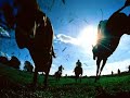 CHEVAUX AU GALOP