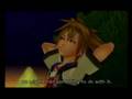 Kingdom Hearts: Du Doof!