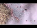 edome - www.edome.net 1942 joint strike gameplay video trailer ps3 x360 plaza.fi plaza.fi plaza.fi plaza.fi plaza.fi plaza.fi plaza.fi plaza.fi plaza.fi plaza.fi 1942: joint strike takes inspiration and influence from the '80s 194x's series of capcom vertical arcade shooters. the art, sound and gameplay give the player hints of the 194x series, but will standout as it's own unique entry. gameplay will essentially be 2d, but the game will utilize a fully 3d engine. the game takes place during ...