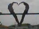 summer 2008 miss u guys....!am....i'm sorry the quality is really awful but i made the video with my mobile....hope u enjoy...