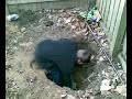 December, 4th 2007 Privy Dig video 1