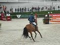 JULIEN EPAILLARD 1 JULIEN EPAILLARD 1
