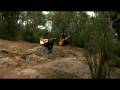 macadamia jam 013. zahara. 1/2