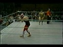 Delta Dawn vs Wonder Woman