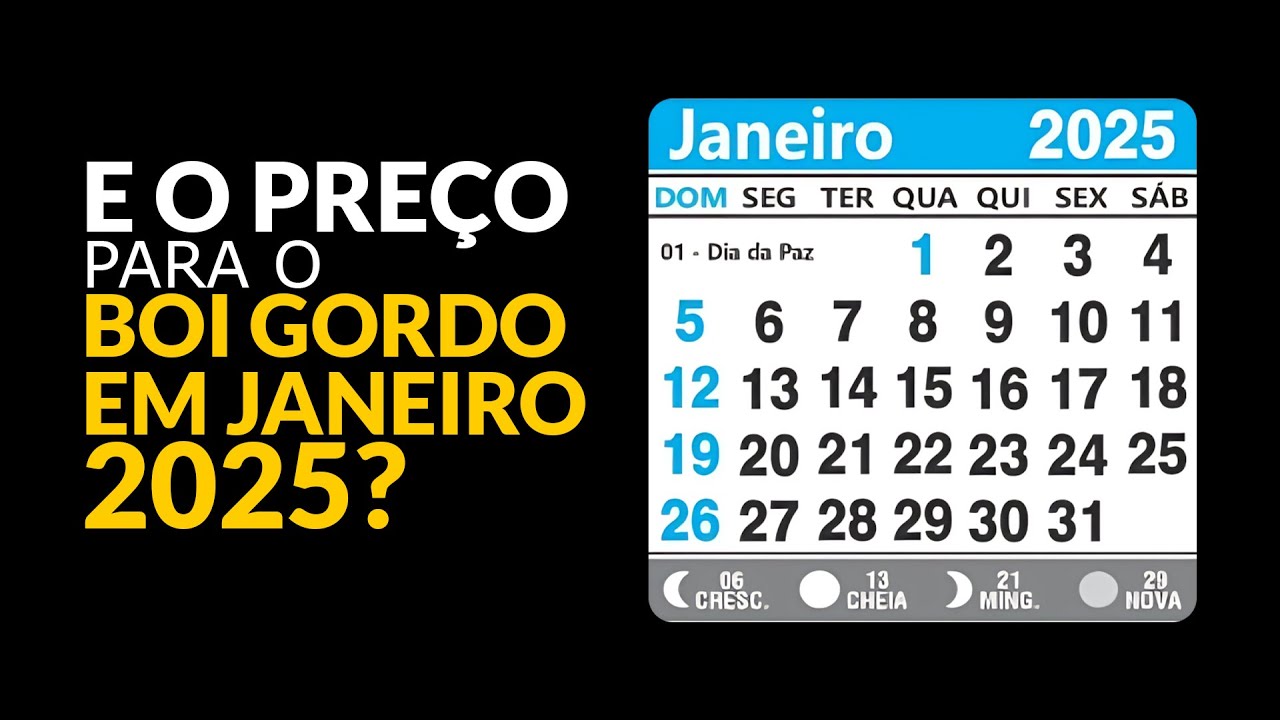 E O Preço Para O Boi Gordo Em Janeiro 2025?