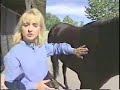 Grooming for Success: Clipping Your Horse, part 1, eXtension