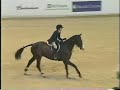 High Regard- Equitation Horse For Sale