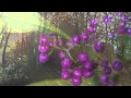 2013 11 09　櫛形山
