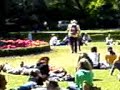 idiot bird attack