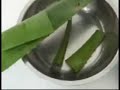Raw Food - Comida Viva - Alo� Vera - Alho