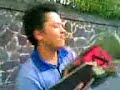 patinetas chavez 1