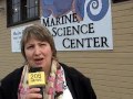 Vladimir Youth Choir: Interview with Tatiana and Port Wilson Beach Walk