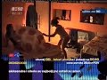 Svinja u vrhuncu svoje napacene psihe Svinja u vrhuncu svoje napacene psihe
