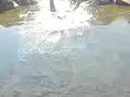 manea-la-rau