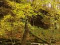 What I Really Know About Autumn Leaves default What I Really Know About Autumn Leaves