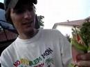 Me catching a knight anole in Coral Springs, FL
