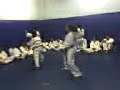 exame de faixa (taekwondo) amigo\