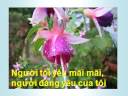 Anh - Du Ca Nguy?n Quy?t Th?ng Anh - Du Ca Nguy?n Quy?t Th?ng