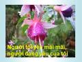 videos de Anh - Du Ca Nguyễn Quyết Thắng