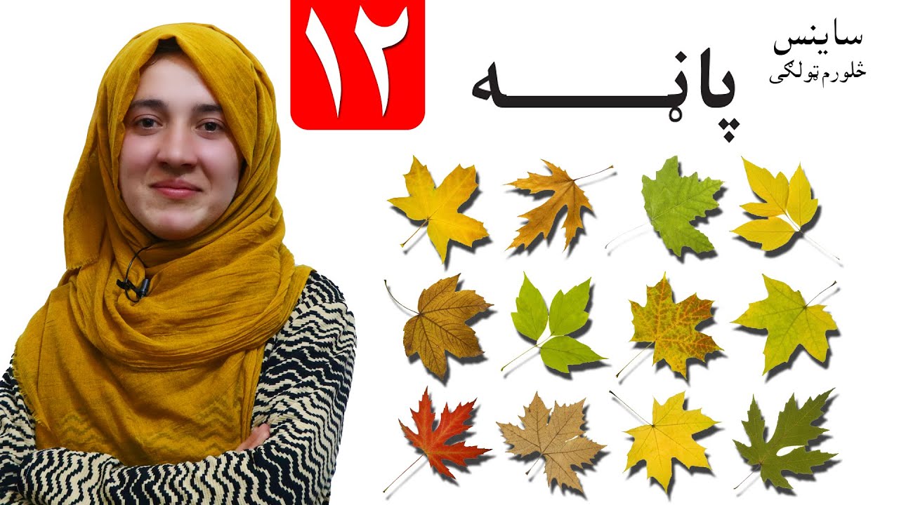 LESSON 12 _ Grade 4 SCIENCE / لوست ۱۲ـ د ساینس مضمون ـ څلورم ټولګی