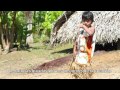 Amazonas, mágica reserva ecológica