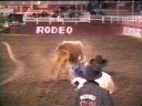 CWU Rodeo 3 : Bull Riding