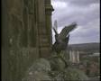 2008 Derby Peregrine Falcon (3) - Mating Again