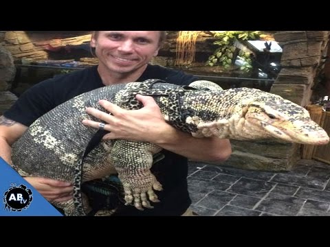 YouTube reptile video