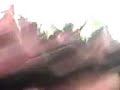 Jevons Penalty