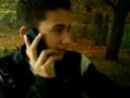 tradati in dragoste continuare
