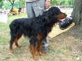Cliquez pour voir la vid�o