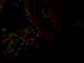 videos de Fag And Retard Show; Episode One