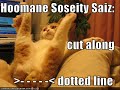 vERY fUNNY cATS 18 - Thumb #2