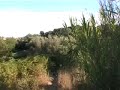Passeggiata al Parco del Pineto