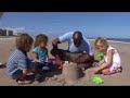 Natural Amelia Island Plantation